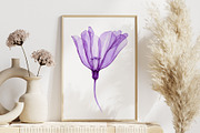 Watercolor Translucent Flower Vector, a Pattern Graphic by Deckar_art (Thumbnail 3 of 4)