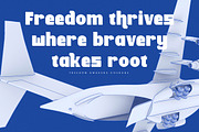Shiftan Bold Modern Display Sans, a Serif Font by timelesstype.co (Thumbnail 15 of 20)