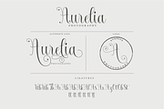 Absolut, a Script Font by Deniz86 (Thumbnail 6 of 9)
