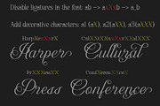 Dalvic – Calligraphy Font, a Script Font by NDNL Studio (Thumbnail 9 of 11)