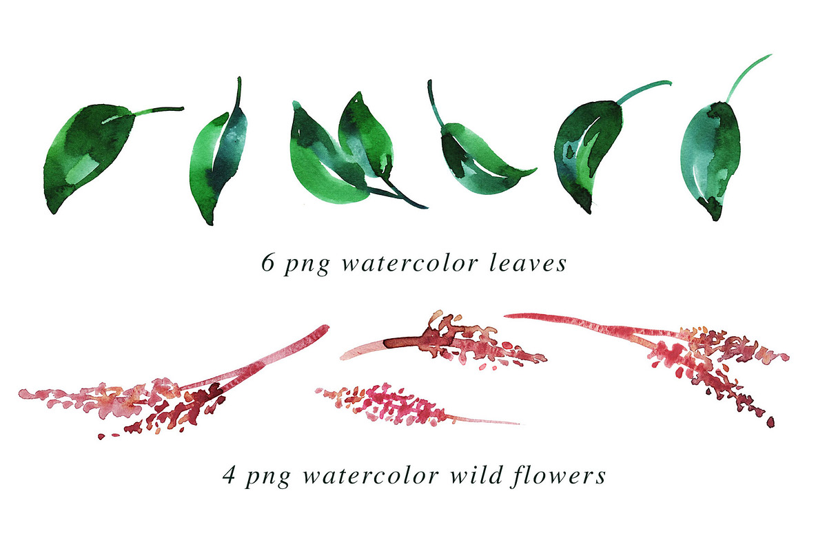 Imperial - 39 Watercolor Floral Set, an Illustration by Heartmade by Claudia (Photo 3 of 5)