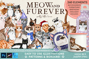 Cat Illustrations Patterns & Borders