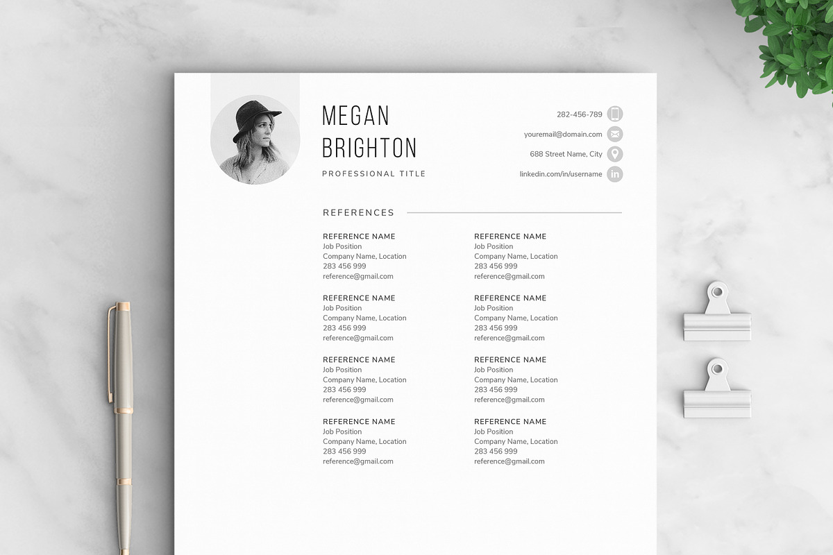 Resume/CV - The Megan preview 6