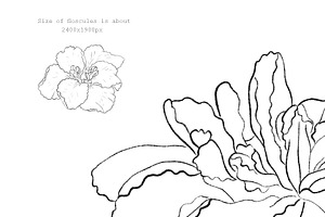 Flowers Line Arts Clipart