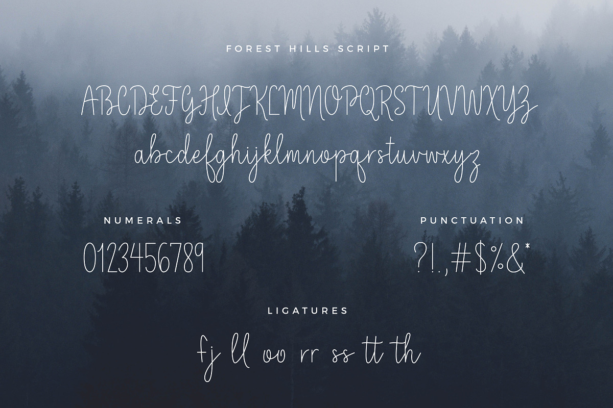 Forest Hills Script preview 8