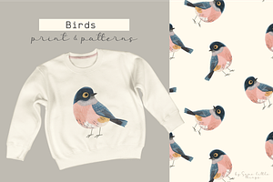 Birds    Print & Pattern