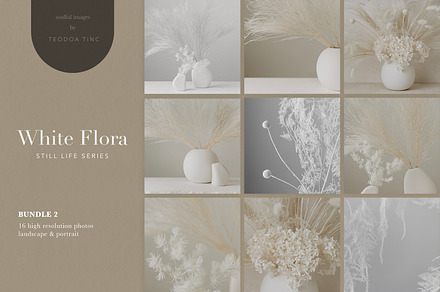 Stock Photos - White Flora Bundle 2, a Photo by Teodora Tinc