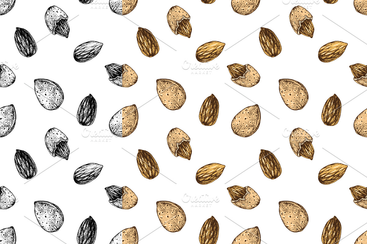 Hard nut graphic design set, a Food Illustration by handsketched (Photo 12 of 18)