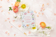 watercolor spring summer garden set, a Decorative Illustration by Grace Noboa Illustrations (Thumbnail 9 of 10)