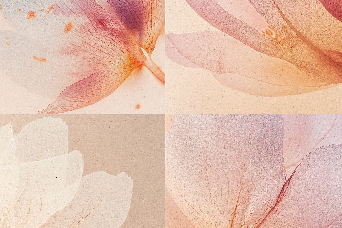 VEIL Flowers Collection, a Background Graphic by nkate (Photo 3 of 13)