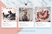 Rose Gold ANIMATED Instagram Posts, a Social Media Template by SilverStag Type Foundry (Thumbnail 14 of 15)