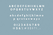 Enbora Stylish & Elegant Bold Serif, a Serif Font by BrandSemut (Thumbnail 8 of 8)