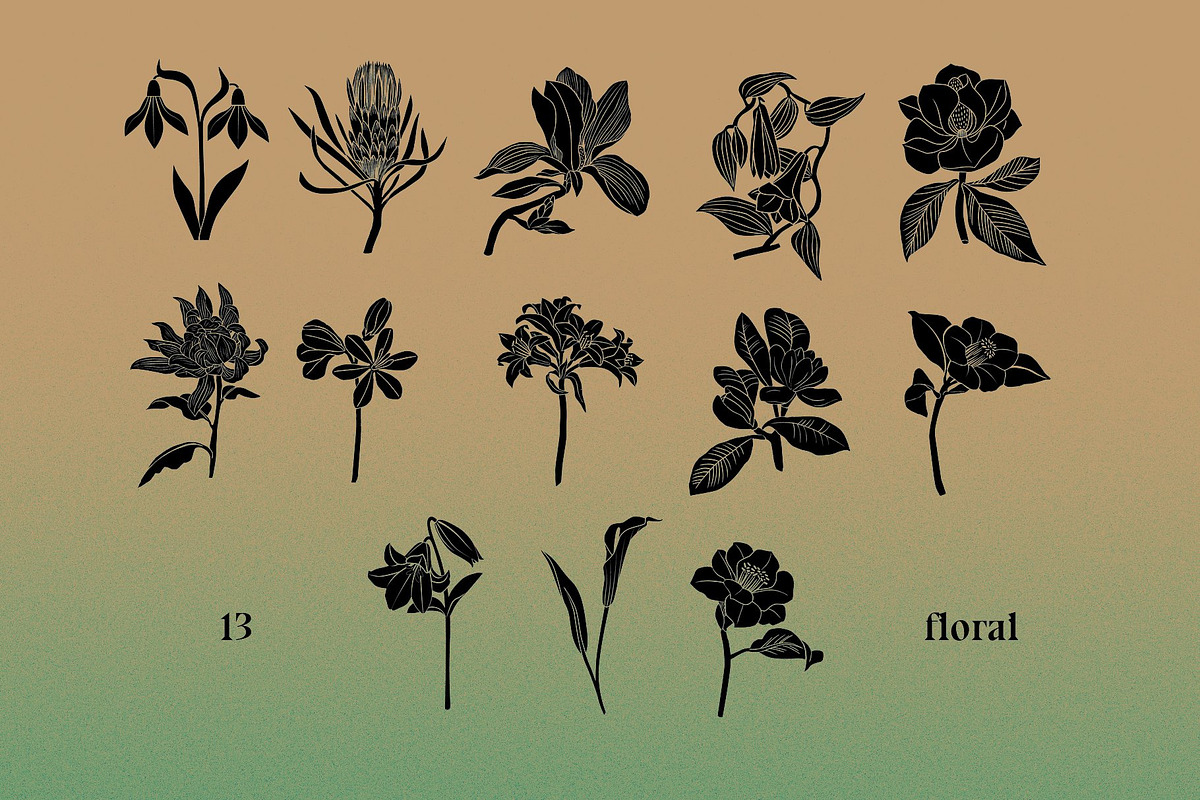 Mysterious set, an Illustration by Mii Lab (Photo 5 of 13)