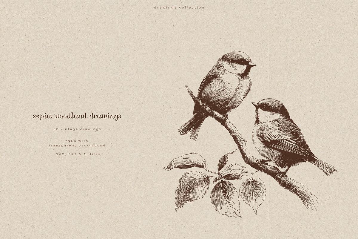 Sepia Woodland Drawings, an Animal Illustration by PeDe Designs (Photo 5 of 15)