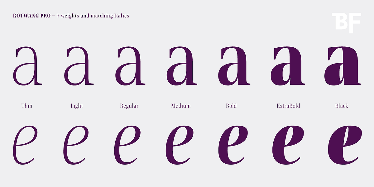 BF Rotwang Pro, a Serif Font by BrassFonts (Photo 2 of 15)