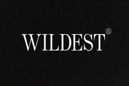 Wildest - Classical Serif