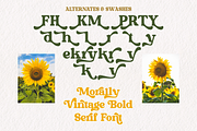 Morally - Vintage Bold Serif, a Serif Font by tebaltipislab (Thumbnail 8 of 13)