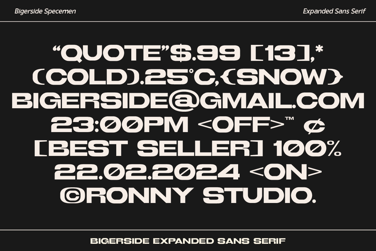 Bigerside Modern Expanded Sans Serif, a Sans Serif Font by Ronny Studio (Photo 8 of 9)