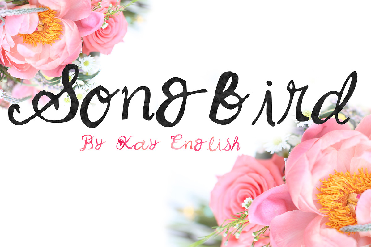 Songbird Whimsical Font By Kay