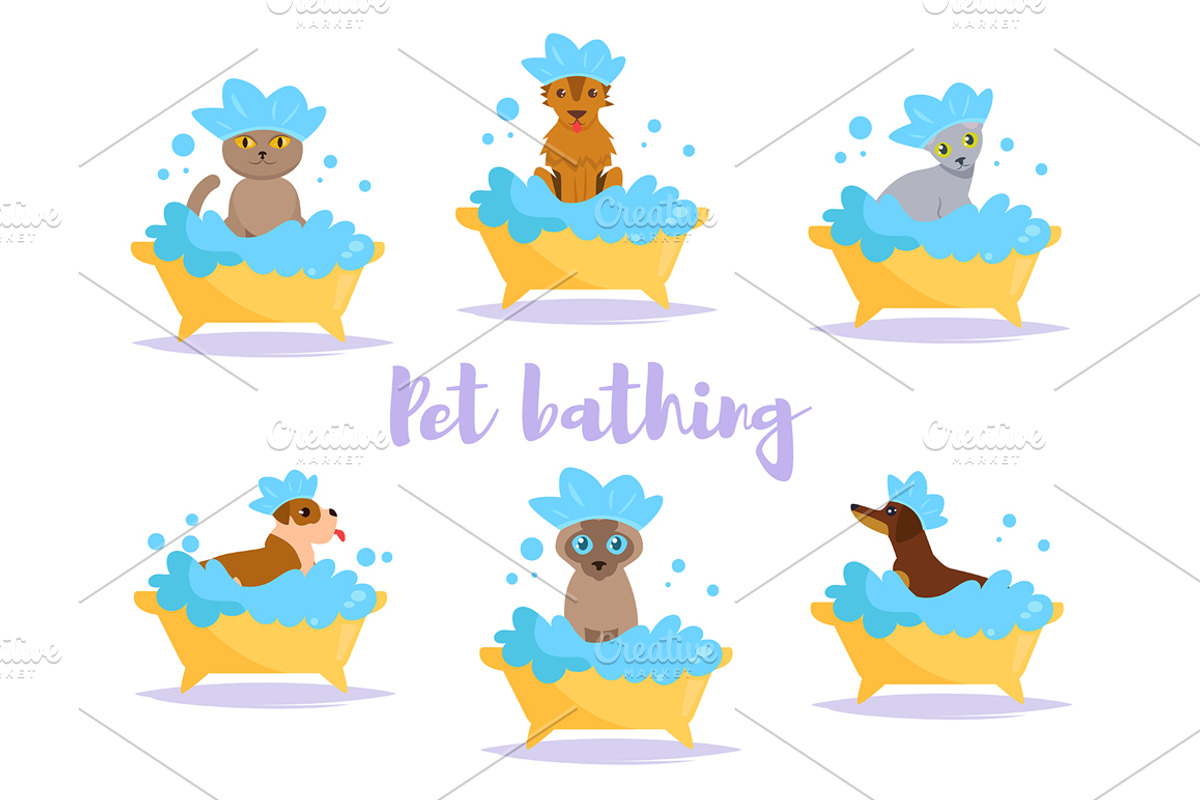 Pet bath, a Graphic by Anna Violet