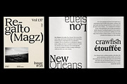 DTF Benhill - Serif Family, a Font by Dora Typefoundry (Thumbnail 2 of 11)