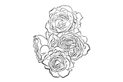 Outlined Rose Bouquets, an Object Graphic by VictoriaKStudio (Thumbnail 4 of 4)