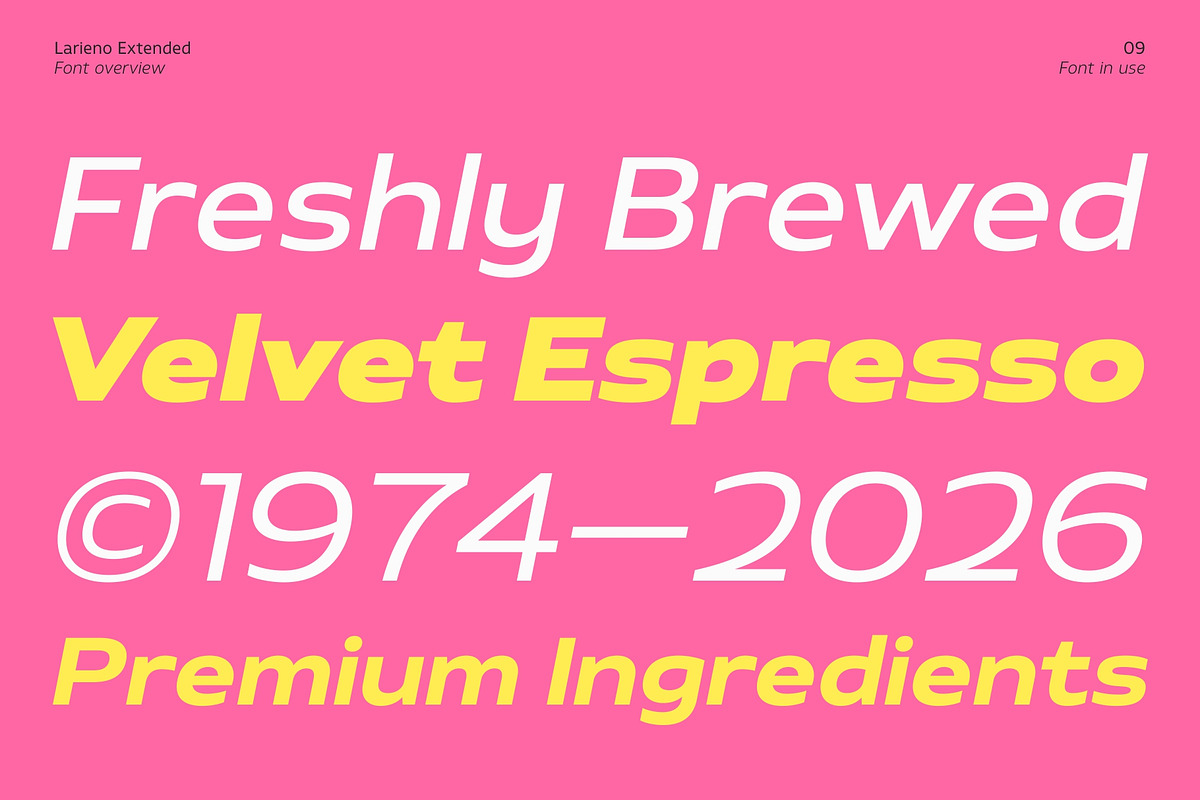 Larieno Extended, a Sans Serif Font by Zafara Studios (Photo 9 of 12)
