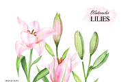 Pink lilies watercolor clipart set, an Illustration by OlDm_Shop (Thumbnail 6 of 10)