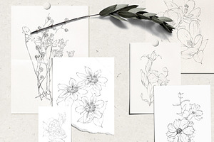 Pencil-drawn Flowers