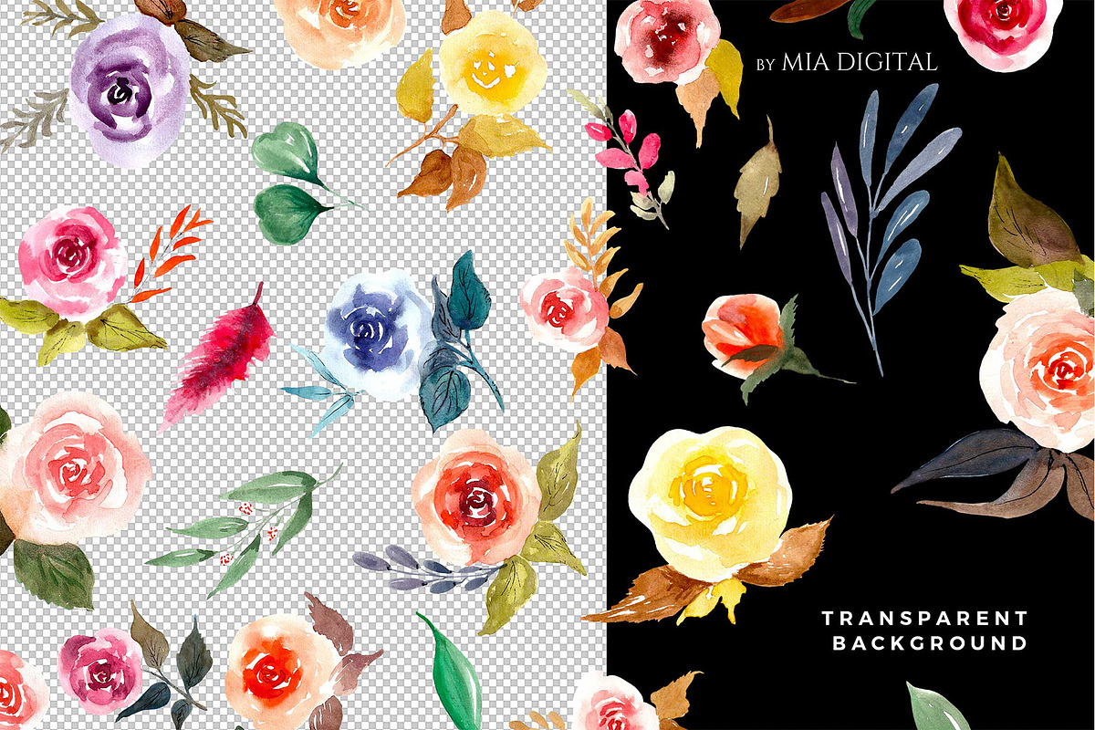 Bright Roses Watercolor Elements, an Illustration by Mia Digital (Photo 2 of 4)