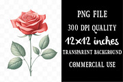 Watercolor Red Rose Clipart, an Illustration by Designking (Thumbnail 4 of 5)