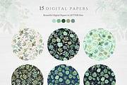 Botanist II - Airplants & Succulents, a Texture Illustration by Momo Studio (Thumbnail 12 of 15)