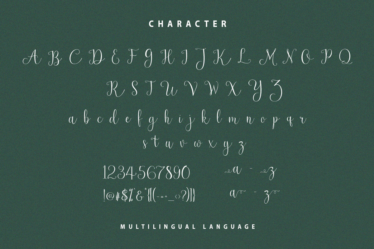 Newark Script, a Script Font by sizimon (Photo 7 of 7)