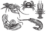 SHELLFISH - Hand Drawn, an Illustration by BusOne (Thumbnail 1 of 2)