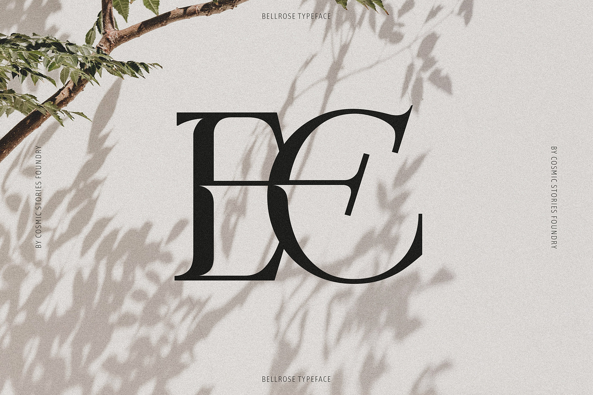 Bellrose Display Serif Font, a Serif Font by CarmineType (Photo 3 of 24)