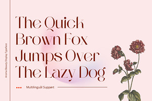 Aroma Beauty - Modern Serif