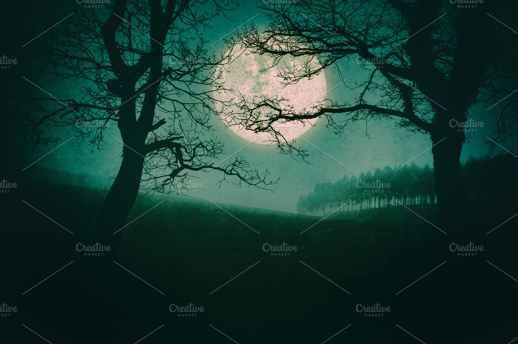 The night of Halloween, a Nature Photo by mimadeo