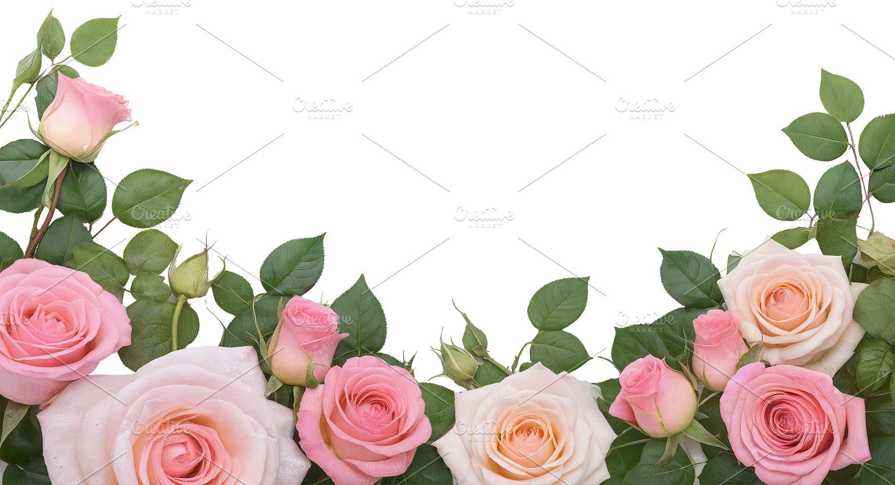 rose flowers transparent background, a Nature Photo by itakdalee