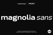 Magnolia Sans Geometric Font Family, a Sans Serif Font by Magnolitype (Thumbnail 1 of 6)