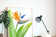 Watercolor cinco de mayo clipart set, a Graphic by svetodesign (Thumbnail 8 of 8)