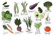 Vector Sketch Vegetables, a Food Illustration by Sopelkin (Thumbnail 3 of 7)