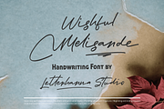 Wishful Melisande Handwriting Font, a Handwritten Font by Letterhanna Studio (Thumbnail 1 of 11)