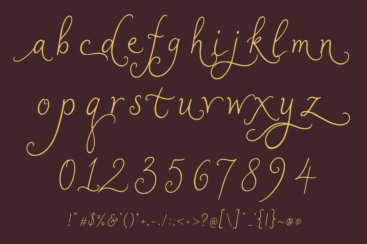 MidelaAruse - Simple Minimal Script, a Script Font by HypeWorksCo (Photo 15 of 15)