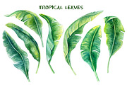 20% OFF! Jurassic World, an Animal Illustration by Watercolor dreams (Thumbnail 6 of 6)