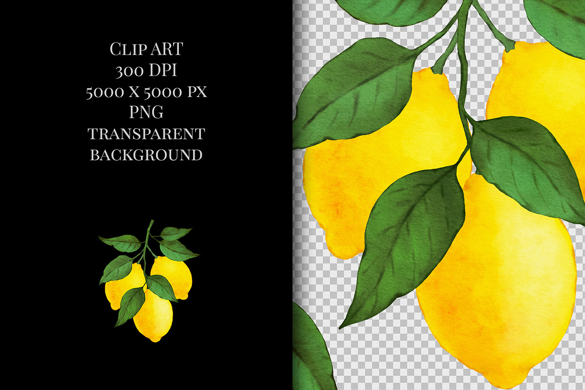 Watercolor  Lemon Clipart  PNG., a Graphic by ARTVracovska (Photo 4 of 4)