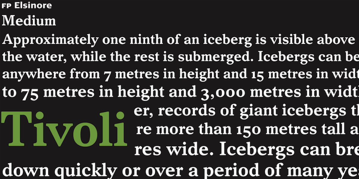 FP Elsinore, a Serif Font by Fontpartners (Photo 1 of 2)