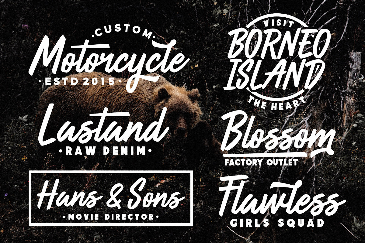 Heartbear - Logo Script Font, a Script Font by HRDR (Photo 2 of 6)