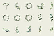 60 Watercolor Eucalyptus PNG Clipart, a Graphic by Graphicspixel (Thumbnail 4 of 10)