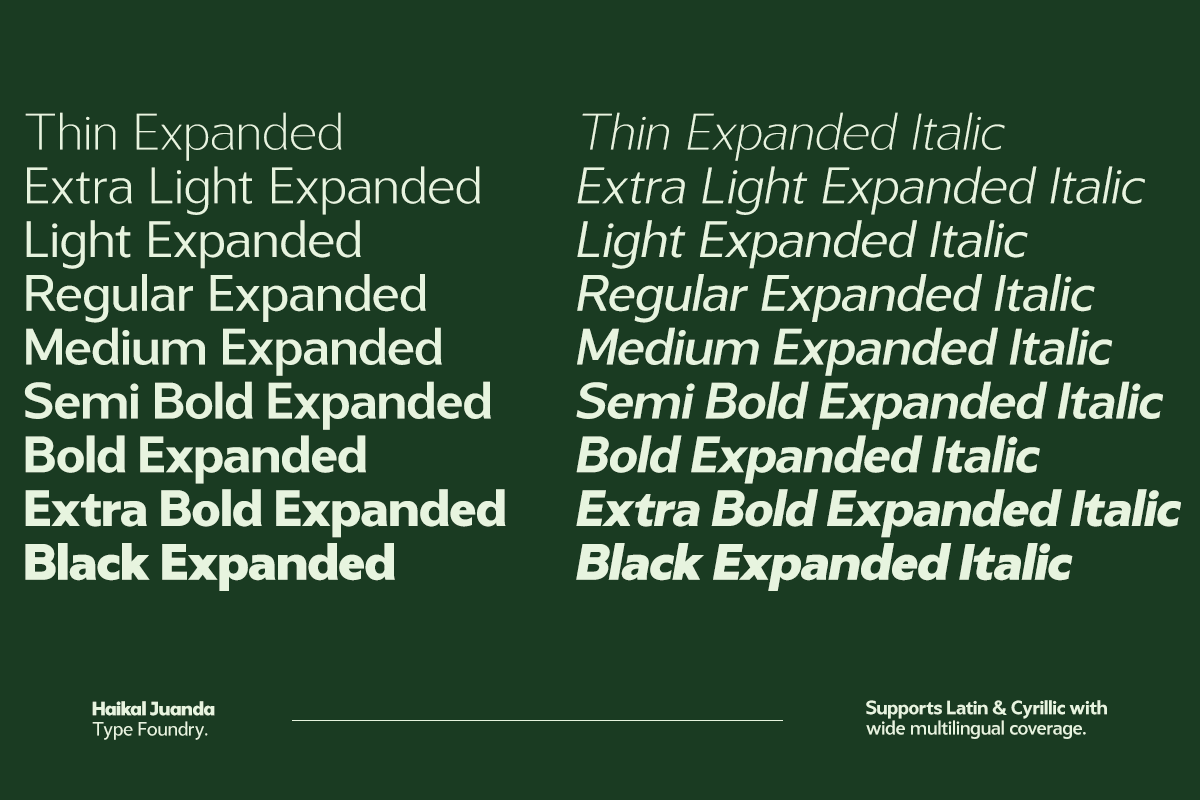 Gastrin, a Sans Serif Font by Pista Mova (Photo 9 of 12)