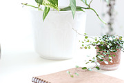 Neutral Collection | Styled Stock, a Business Photo by Chalking Up Stock (Thumbnail 13 of 25)